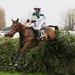 RF AINTREE Pineau De Re and Leighton Aspell jump the last to win the Crabbie s Grand National at Aintree 2