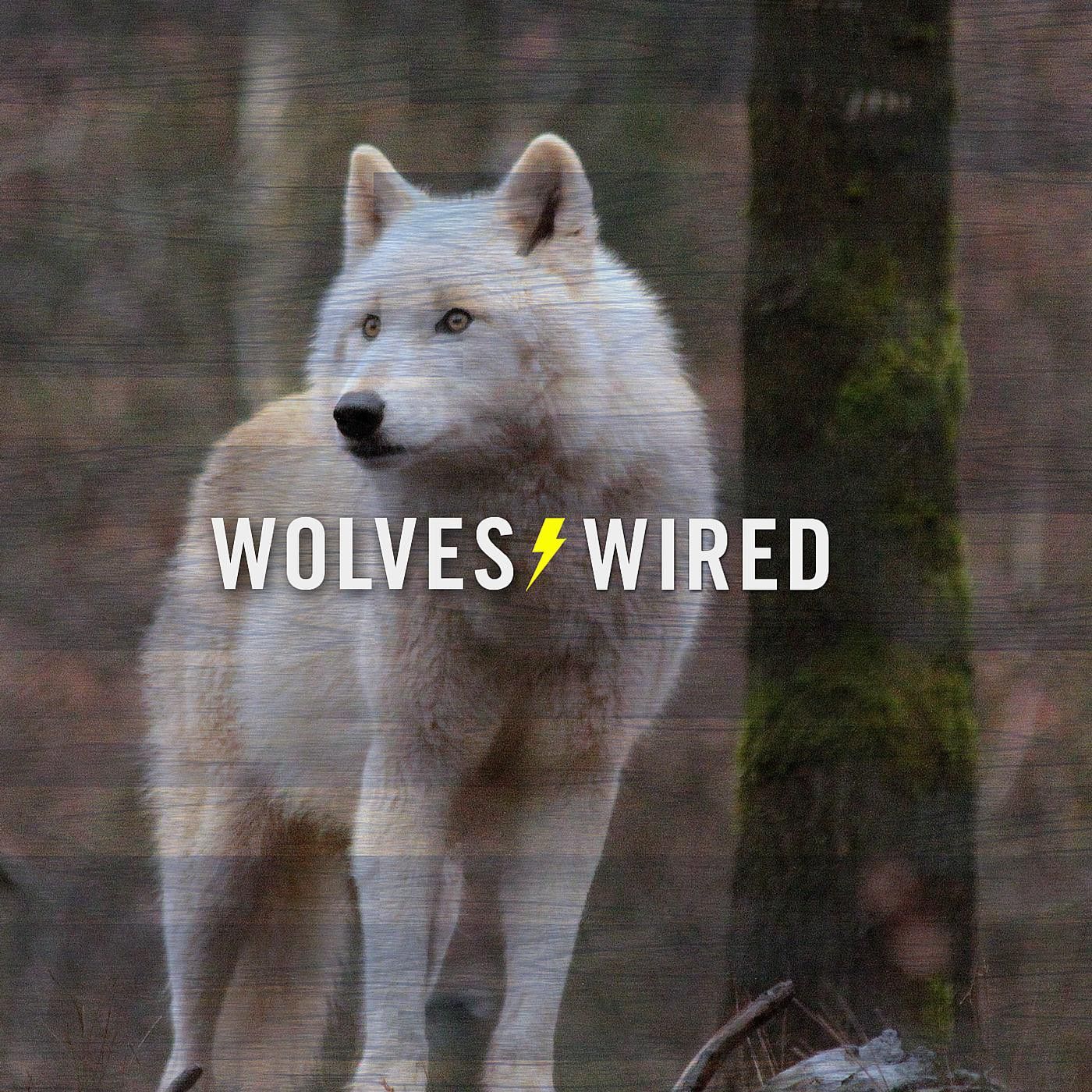 Wolves Wired