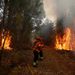 portugal-wildfires-150816s