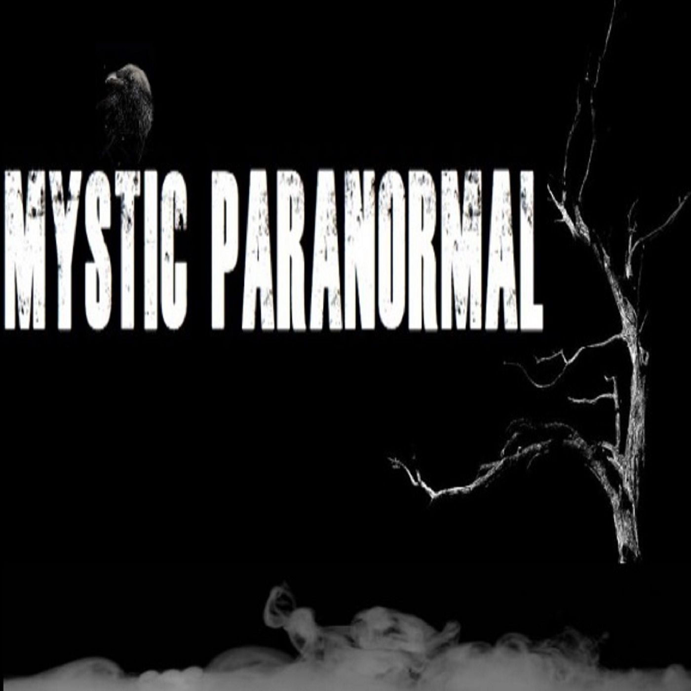 Mystic Paranormal