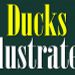 Ducks Illustrated