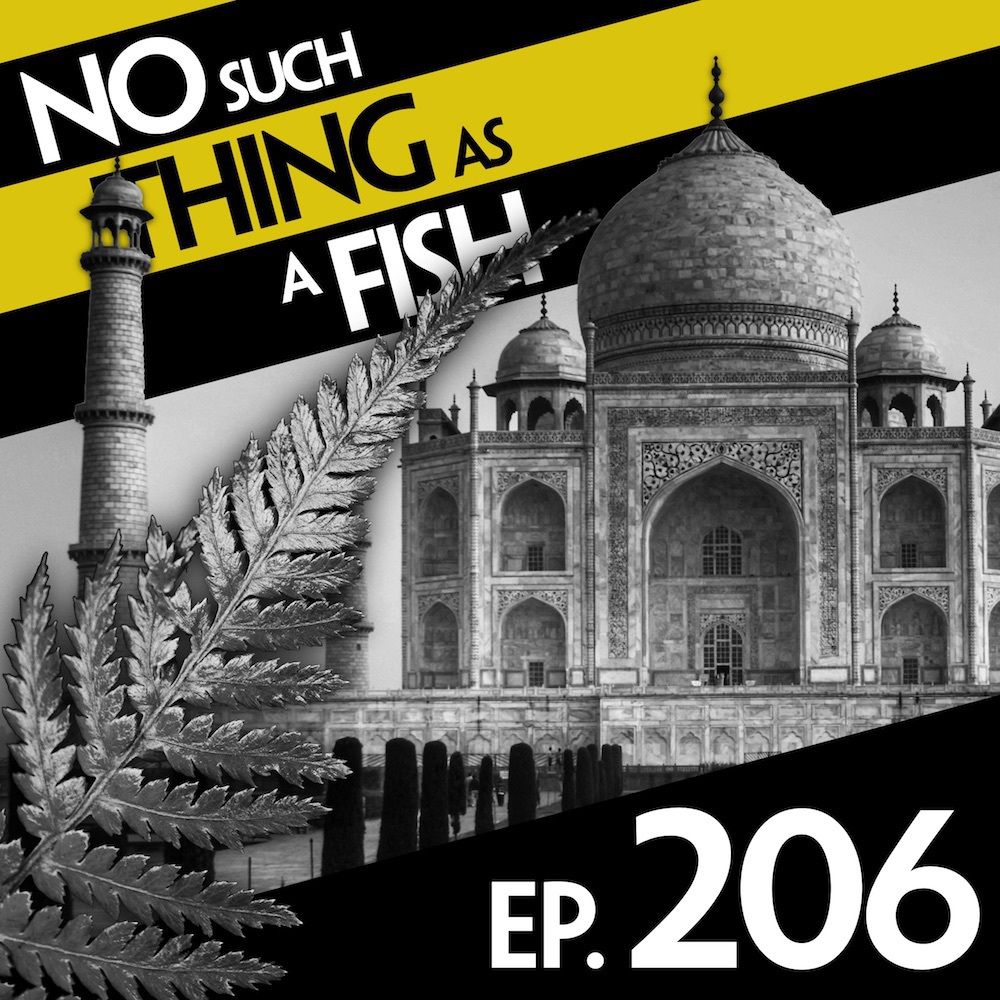 The Incredible Construction of the Taj Mahal