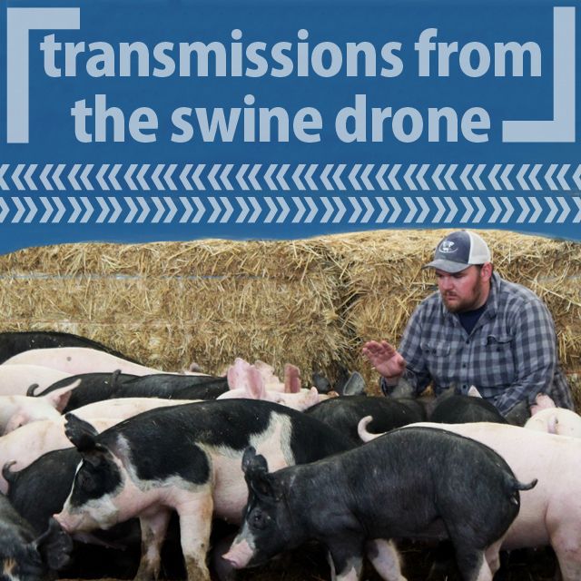 15: 「Transmissions from the Swine Drone」