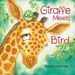 Giraffe Meets Bird