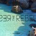 ibiza sand rocks rebel logo