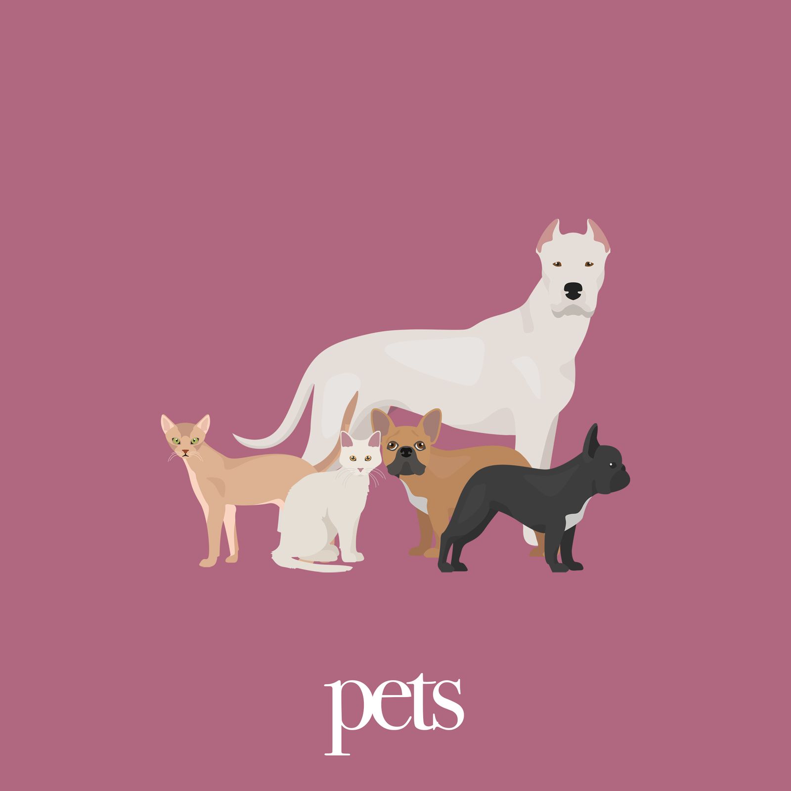 19: Pets