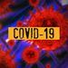 IDENT Covid-19