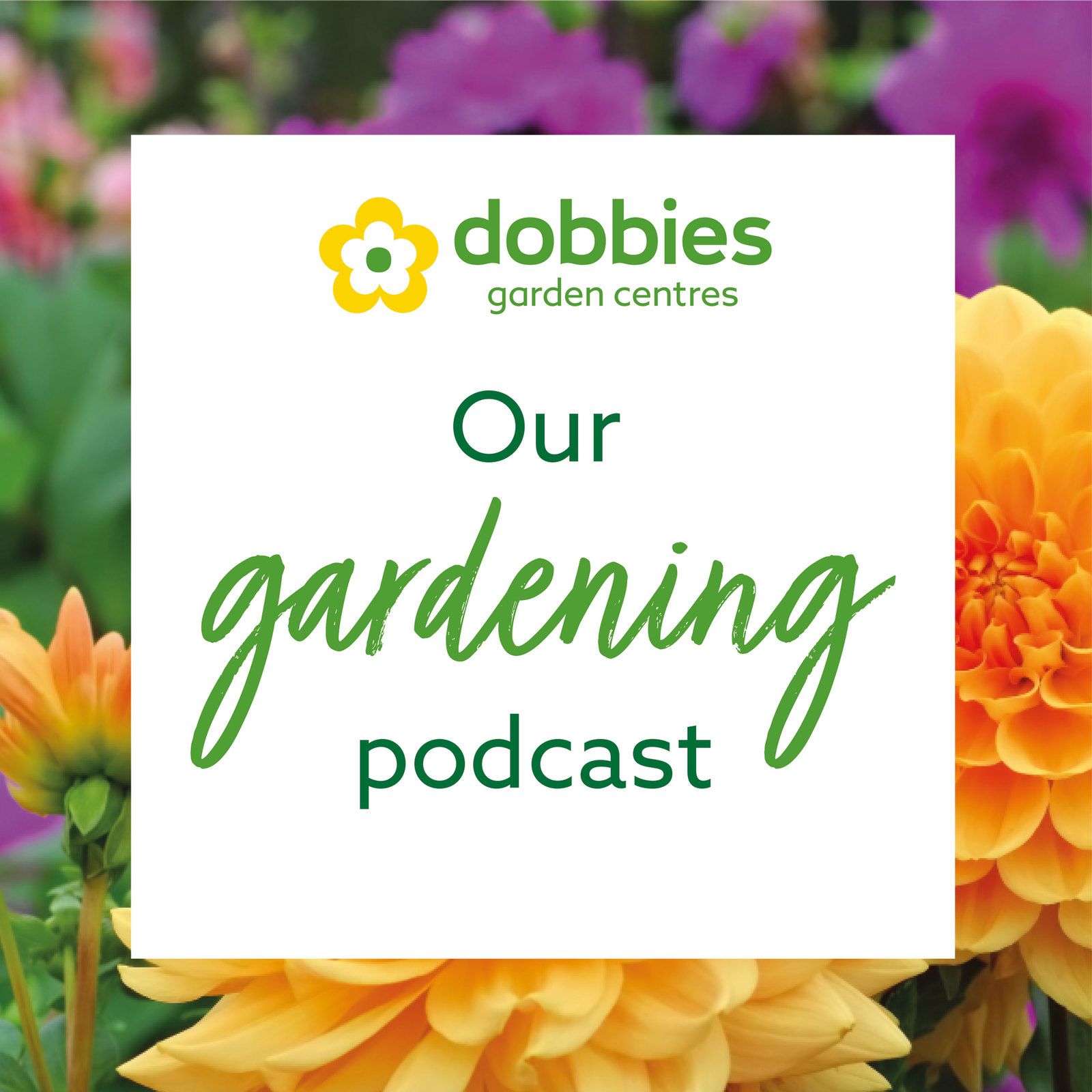 Dobbies - Our Gardening Podcast