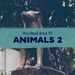 PDB057-Animals-2-animal-grief-hachiko-loyal-dog-K-9-unit-cadaver-dogs-death-positive-history-science-podcast