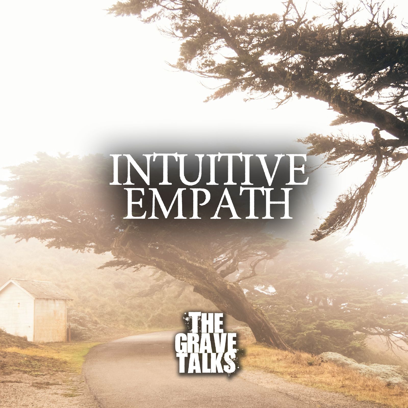 Intuitive Empath | A Conversation With Shannon Rogers