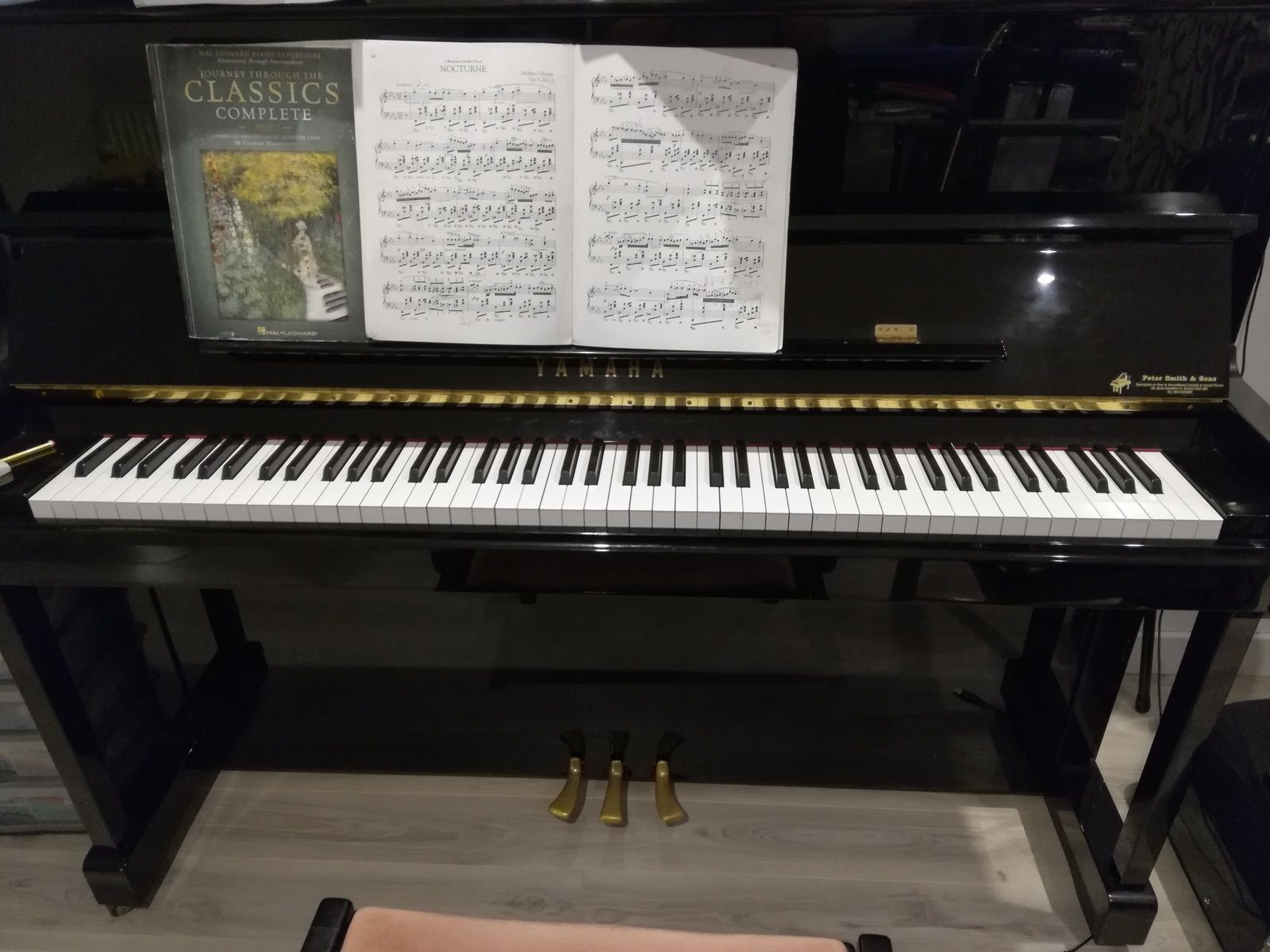 3657: Lockdown piano practice: Chopin Nocturne in E-flat major, Op.9, No.2 excerpt