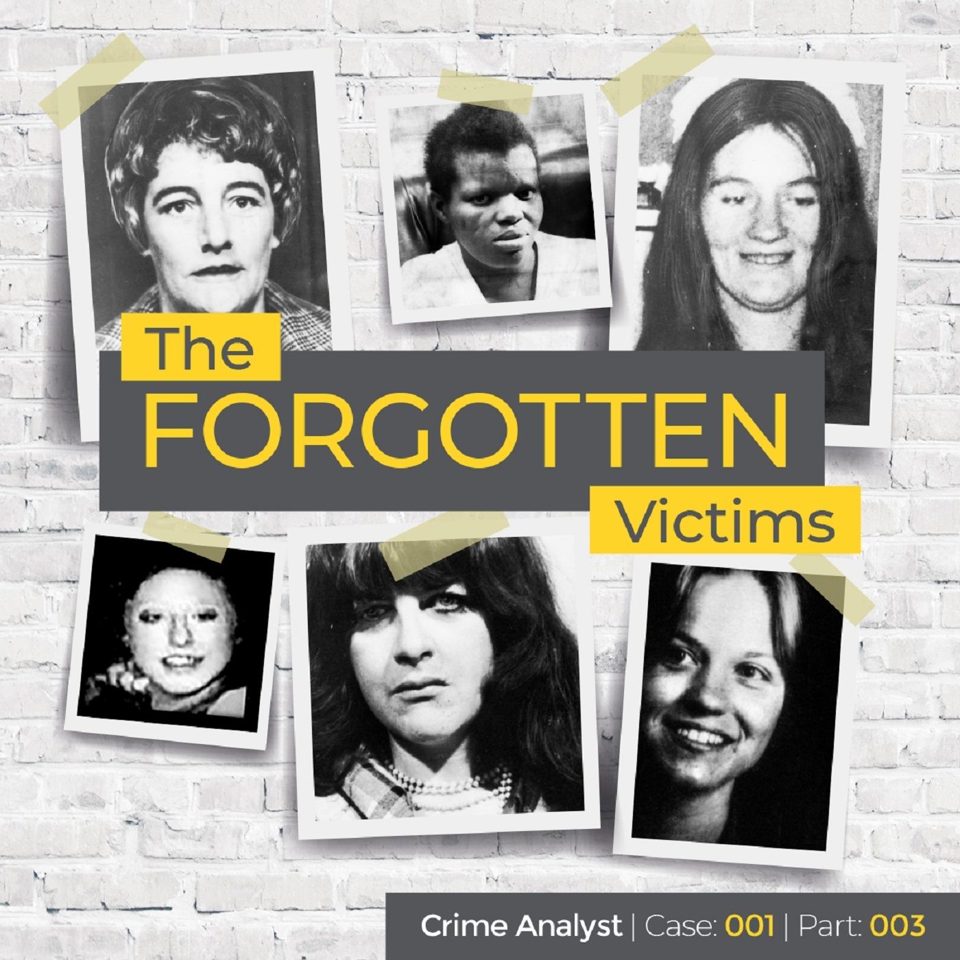 3: The Forgotten Victims | Part 03 | The A1 Linked Offenses Image