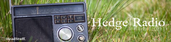 The HedgeRadio Podcast