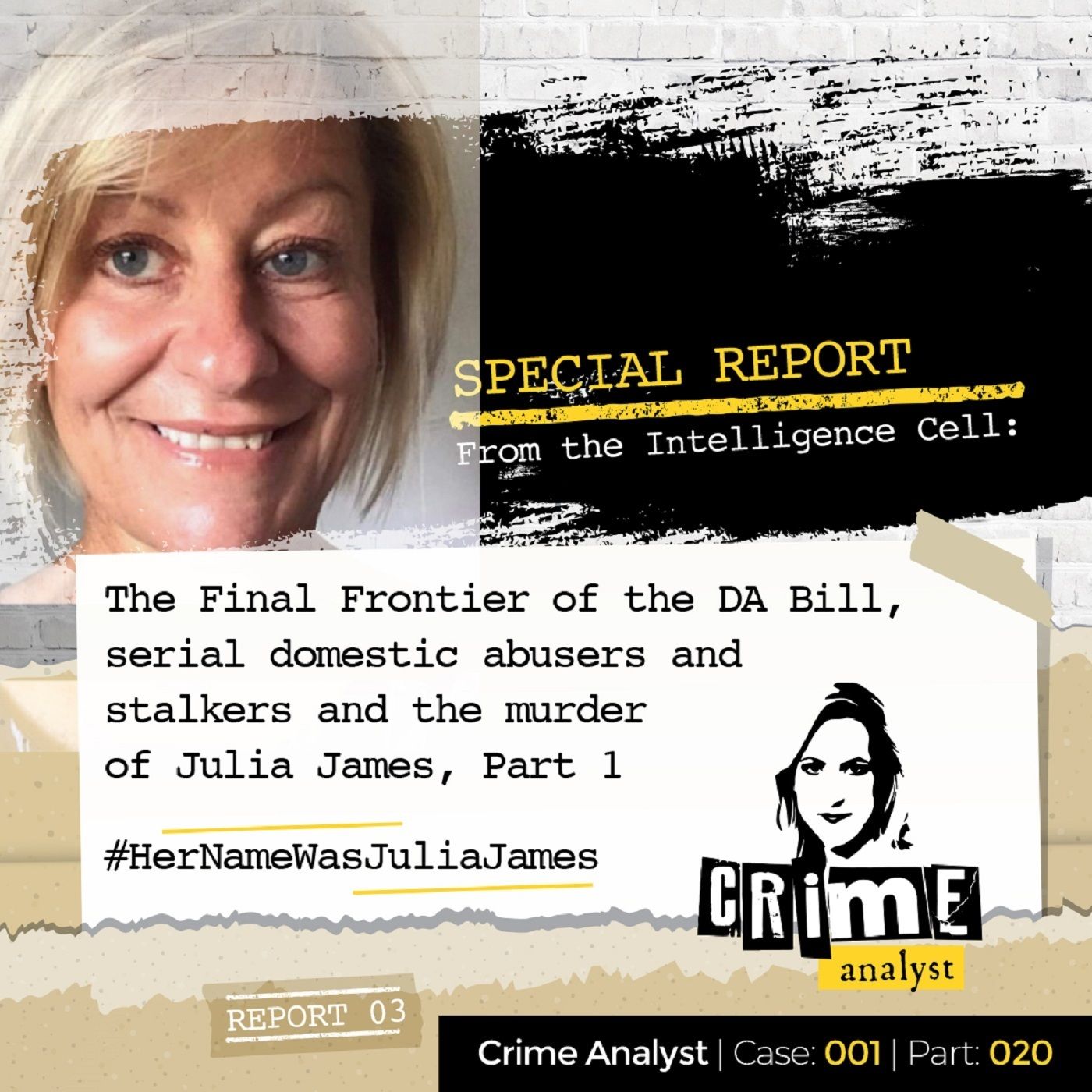 20: Special Report from the Intelligence Cell | The Final Frontier of the Domestic Abuse Bill, Serial Domestic Abusers and Stalkers and Julia James’ Murder, Part. 1 Image