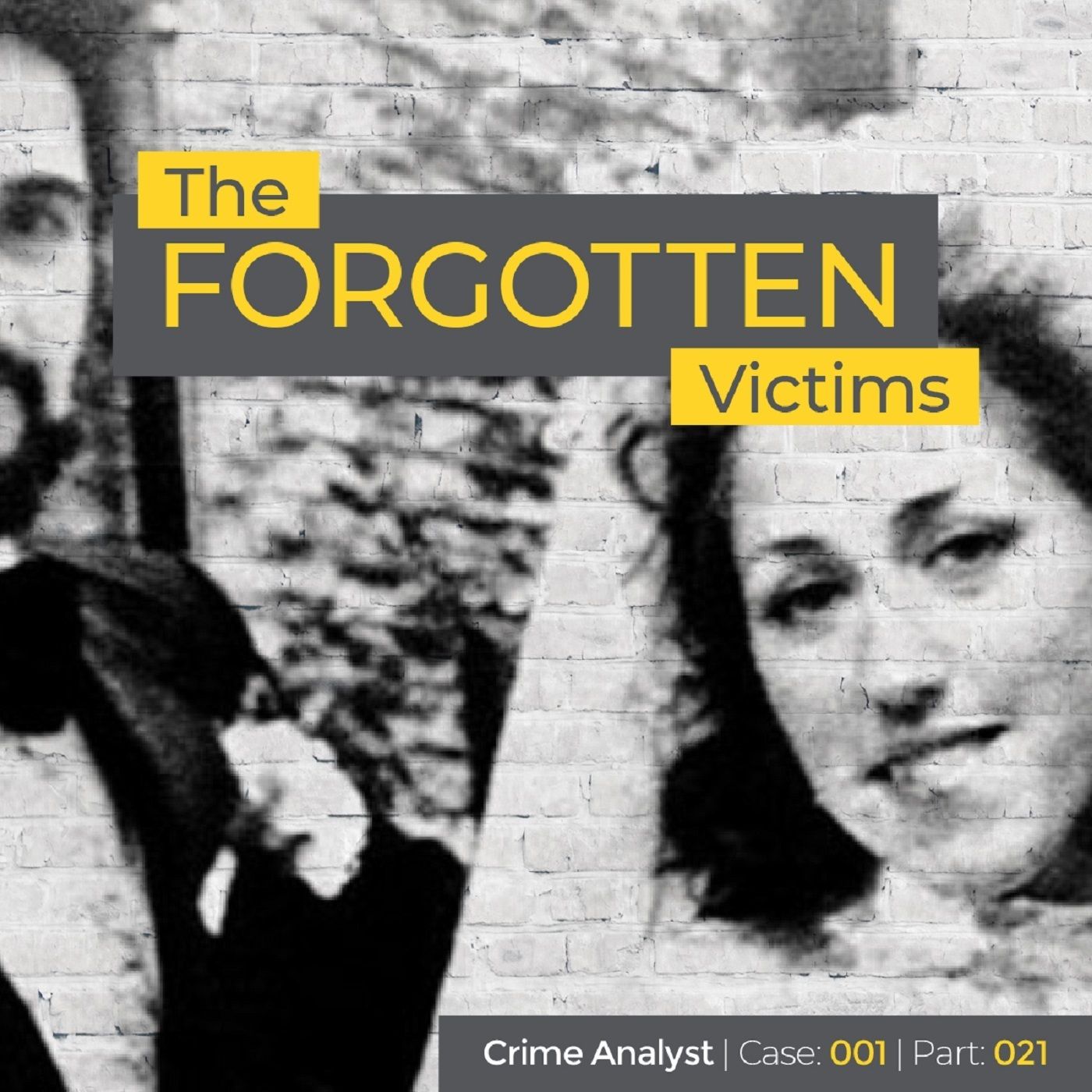 26: The Forgotten Victims | Part 21 | Psychological Autopsy and Profile of PS Ctd Image