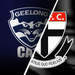 vic-gee-krf-afl-matches-r22