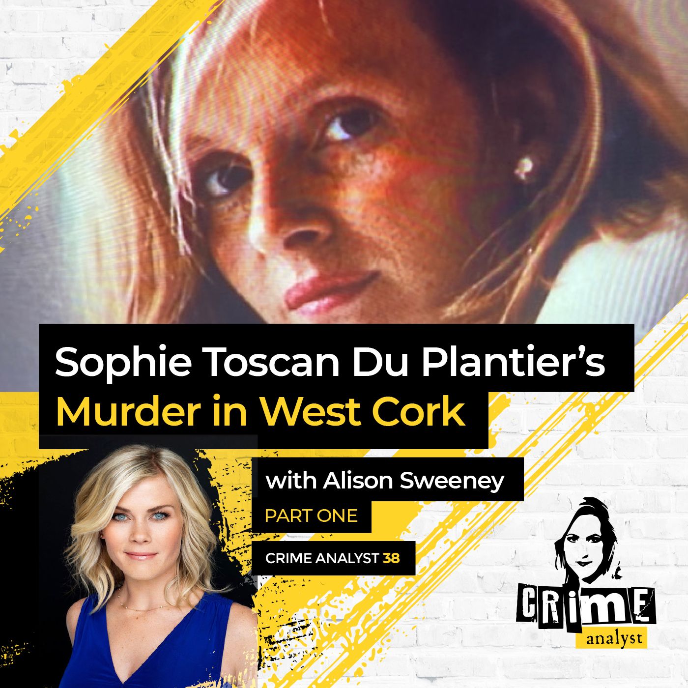 38: The Crime Analyst | Ep 38 | Sophie Toscan Du Plantier’s Murder with Alison Sweeney, Part 1 Image