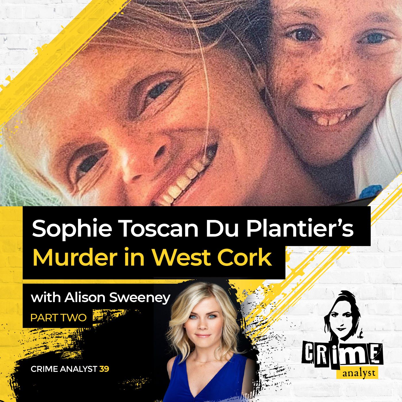 39: The Crime Analyst | Ep 39 | Sophie Toscan Du Plantier’s Murder with Alison Sweeney, Part 2 Image