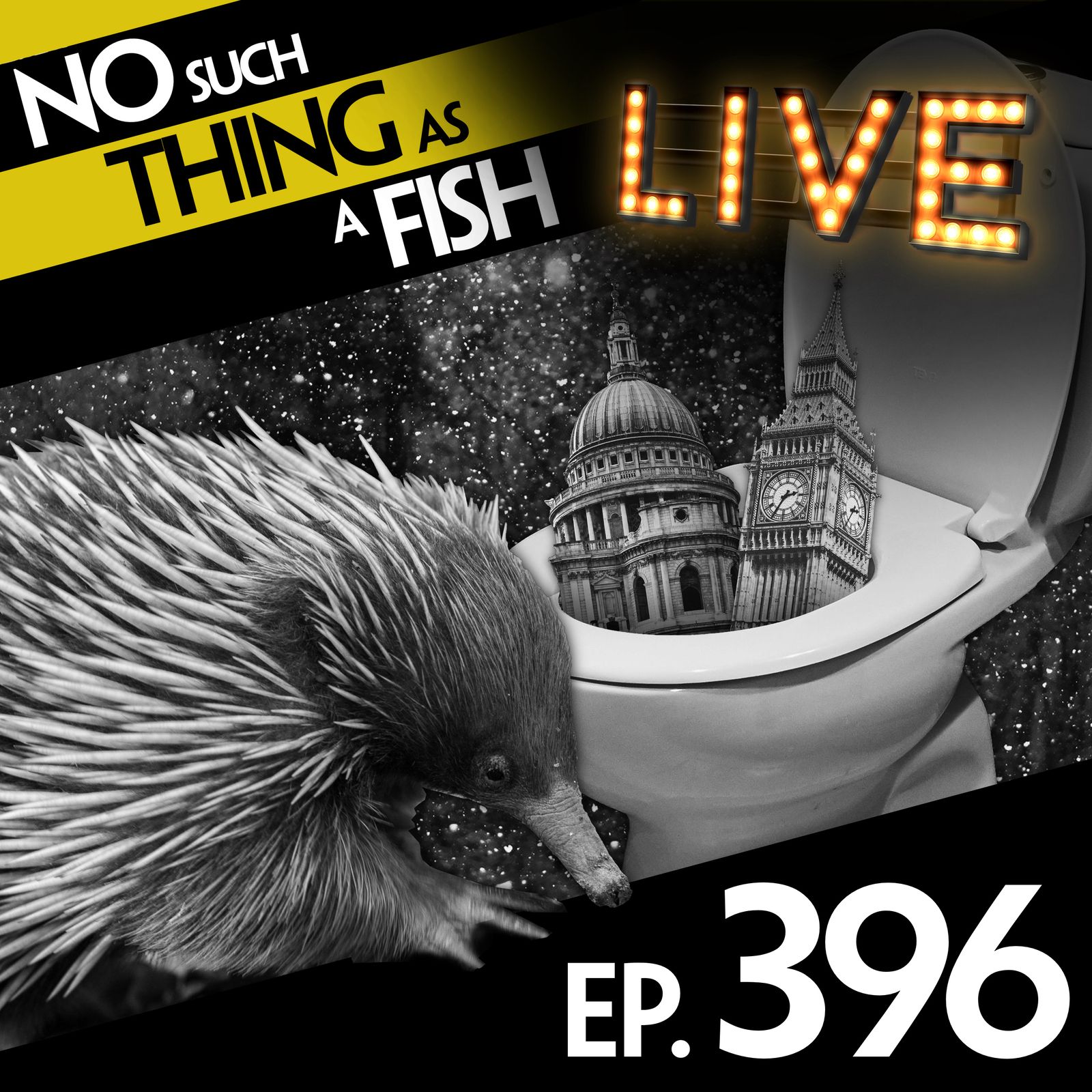 396: No Such Thing As The Echidna Prince Charming