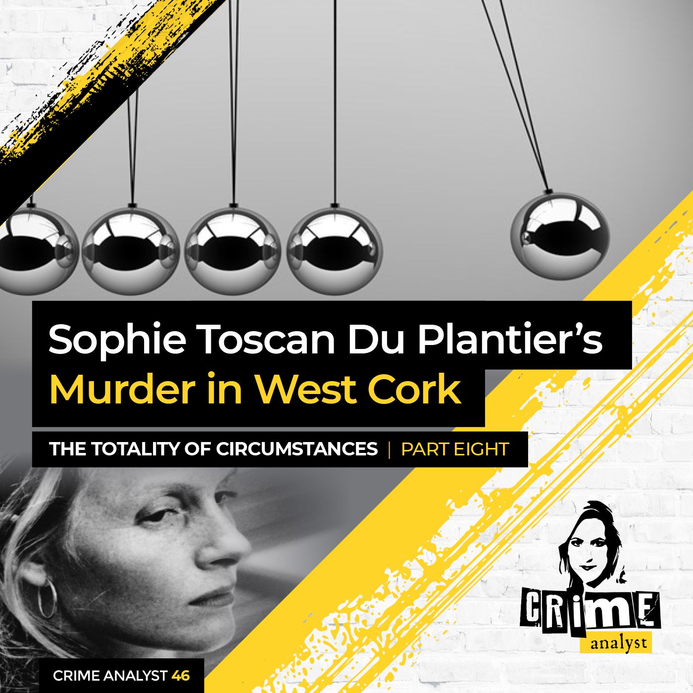 46: The Crime Analyst | Ep 46 | Sophie Toscan Du Plantier’s Murder in West Cork: The Totality of Circumstances, Part 8 Image