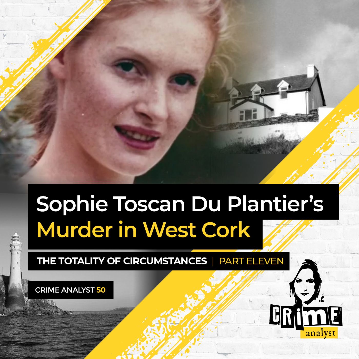 50: The Crime Analyst | Ep 50 | Sophie Toscan Du Plantier’s Murder in West Cork: The Totality of Circumstances Ctd. Part 11 Image