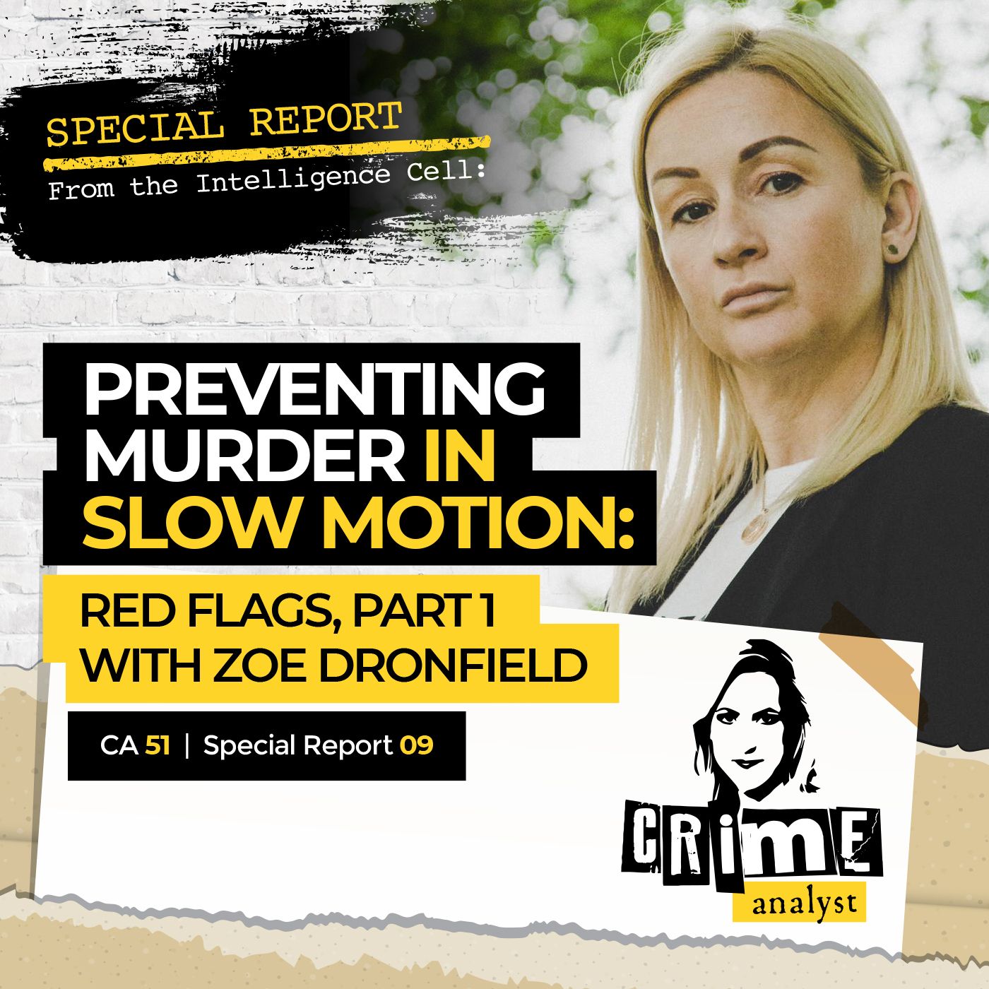 51: Special Report from the Intelligence Cell | Ep 51 | Preventing Murder in Slow Motion™:  Red Flags with Zoe Dronfield, Part 1 Image