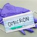 two-cases-of-omicron-variant-detected-in-karnataka-union-health-ministry