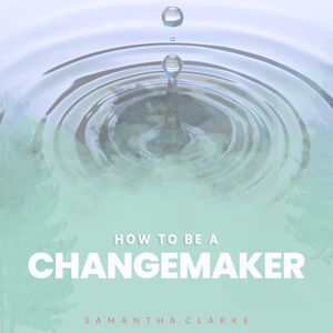 How To Be A Changemaker