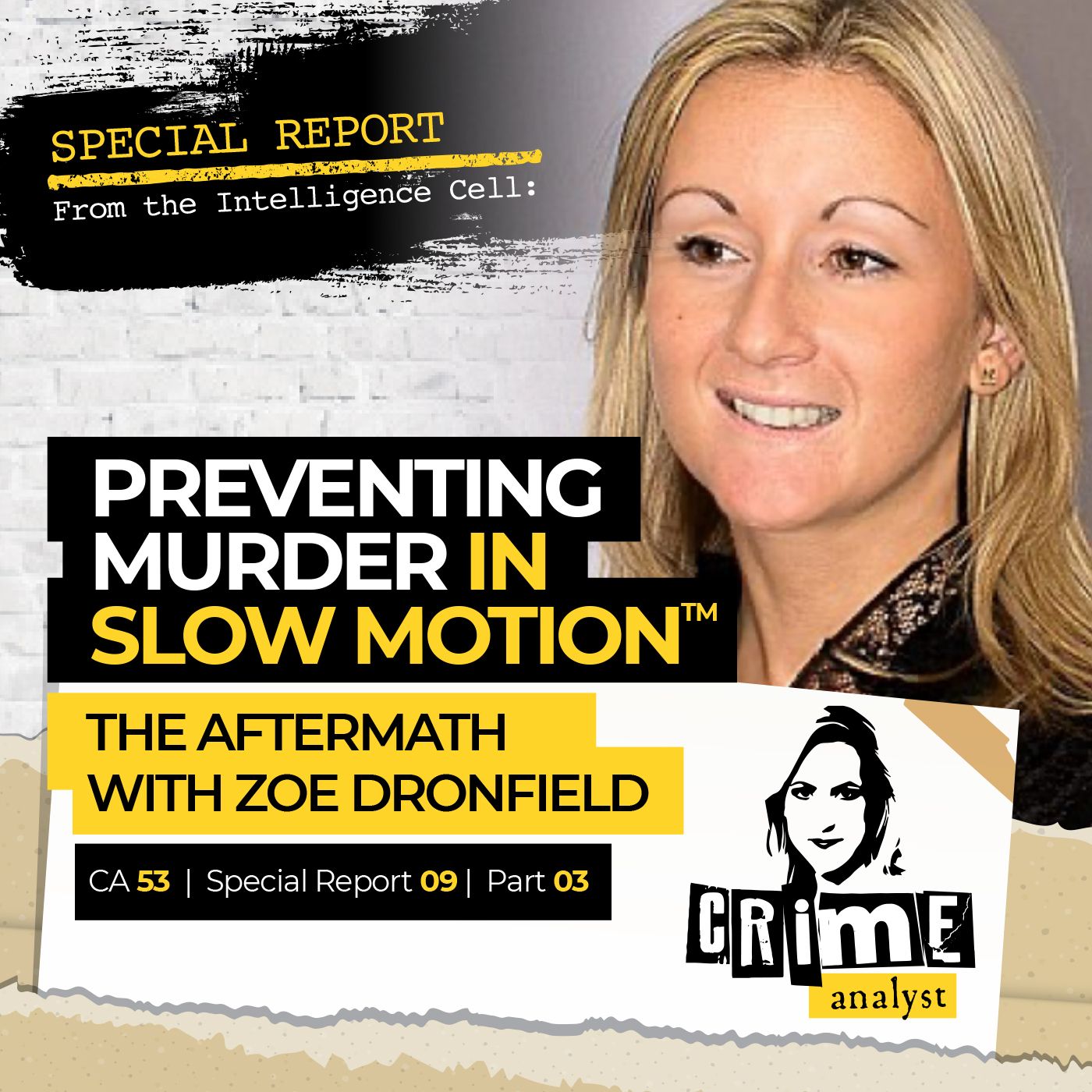 53: Special Report from the Intelligence Cell | Ep 53 | Preventing Murder in Slow Motion™: The Aftermath with Zoe Dronfield, Part 3 Image