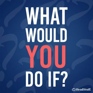 What Would You Do If?