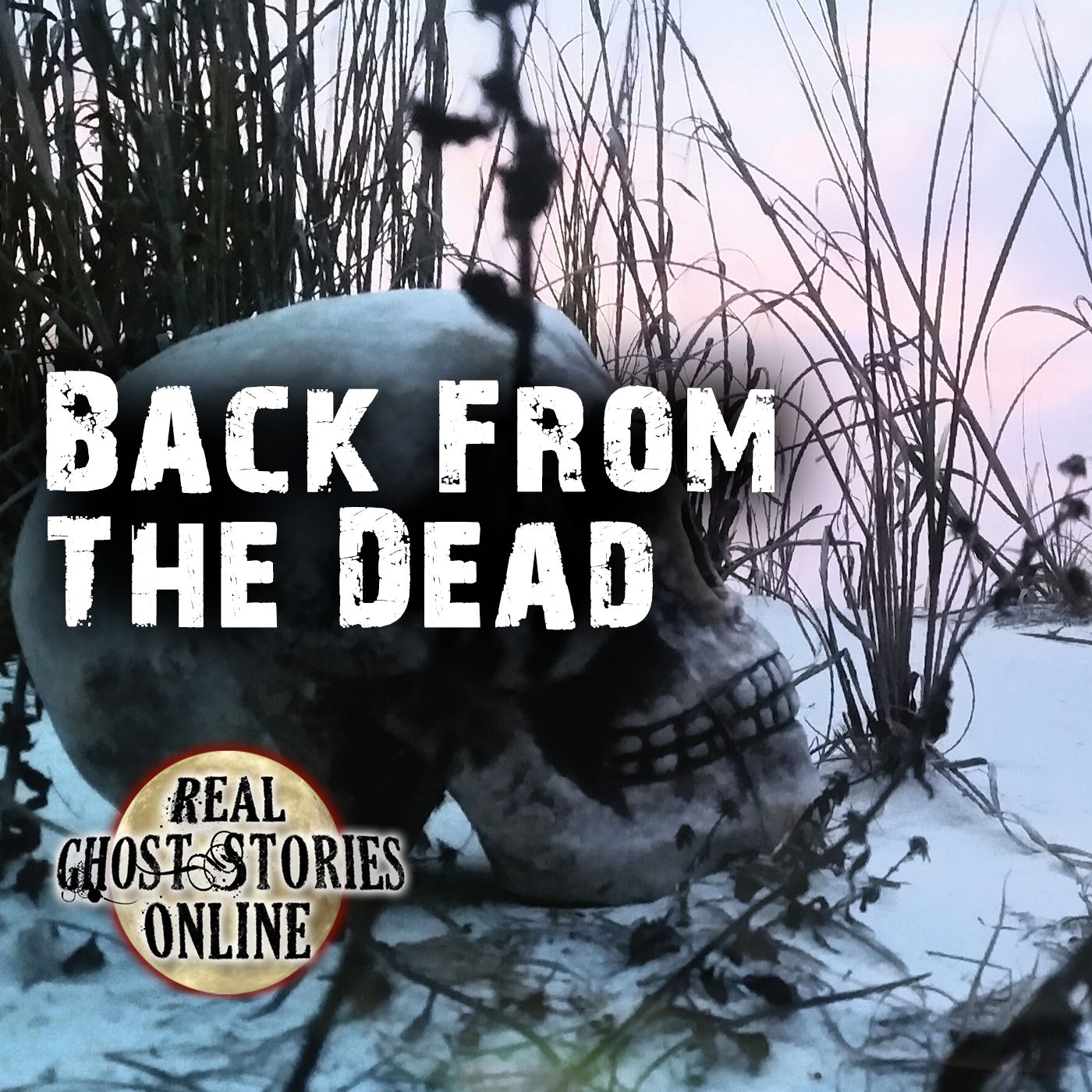 Back From The Dead | True Ghost Stories