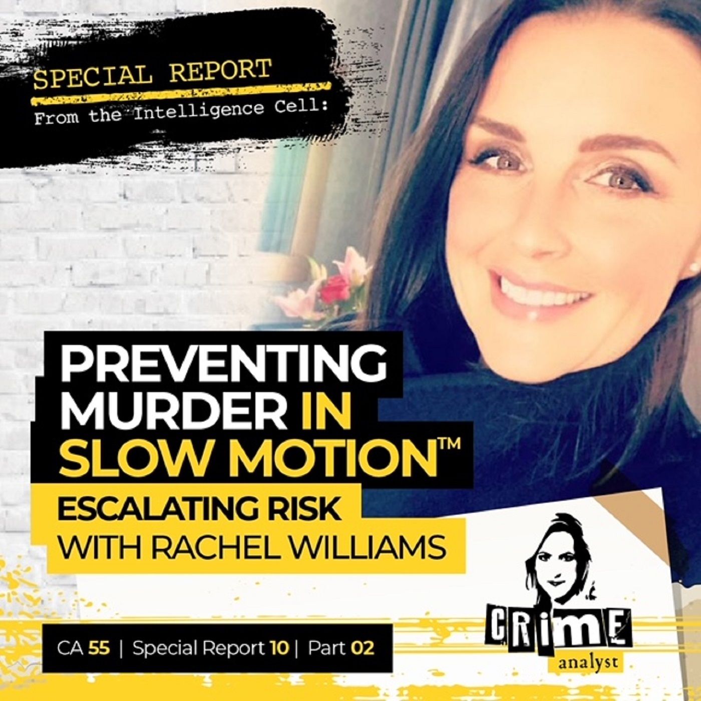 55: Special Report from the Intelligence Cell | Ep 55 | Preventing Murder in Slow Motion™: Escalating Risk with Rachel Williams, Part 2 Image
