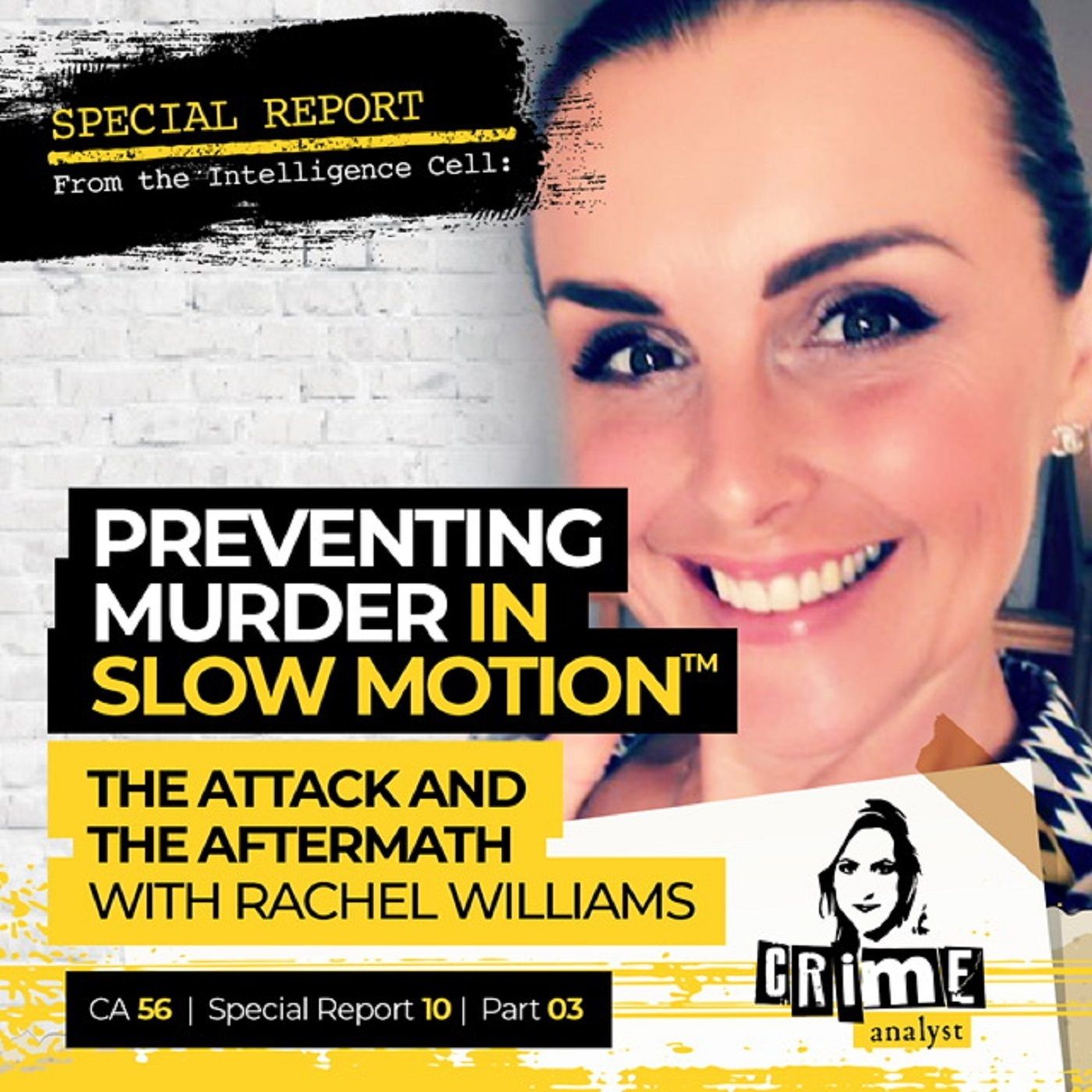 56: Special Report from the Intelligence Cell | Ep 56 | Preventing Murder in Slow Motion™: The Attack and the Aftermath with Rachel Williams, Part 3 Image