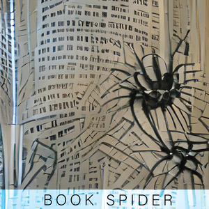 Book Spider