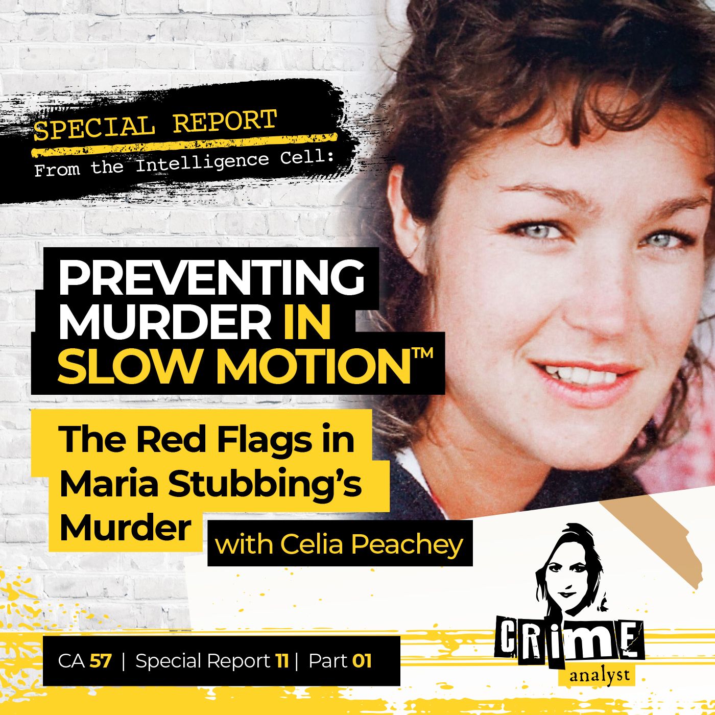 57: Special Report from the Intelligence Cell | Ep 57 | Preventing Murder in Slow Motion™: Red Flags in Maria Stubbing’s Murder with Celia Peachey, Part 1 Image
