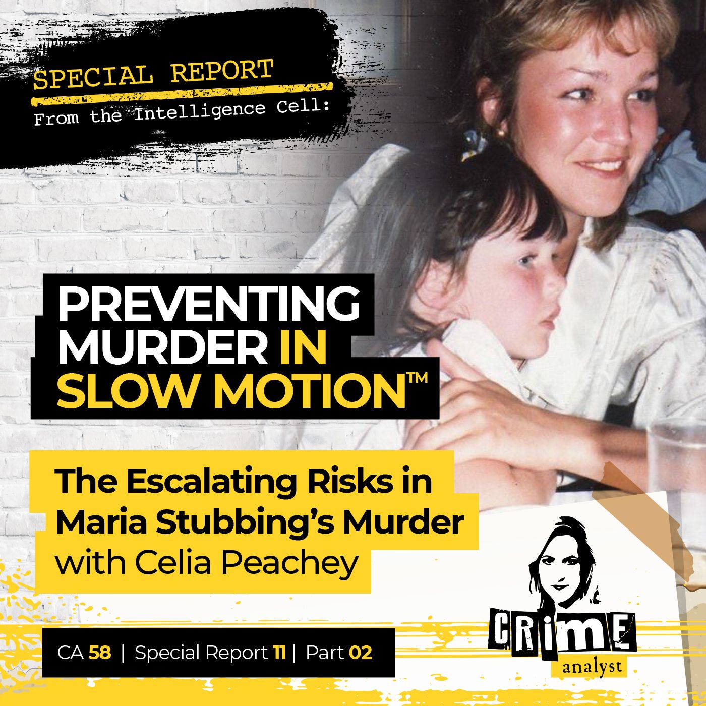 58: Special Report from the Intelligence Cell | Ep 58 | Preventing Murder in Slow Motion™: The Escalating Risks in Maria Stubbing’s Murder with Celia Peachey, Part 2 Image