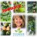 Tower Garden January 2022 Leah Brooks Collage