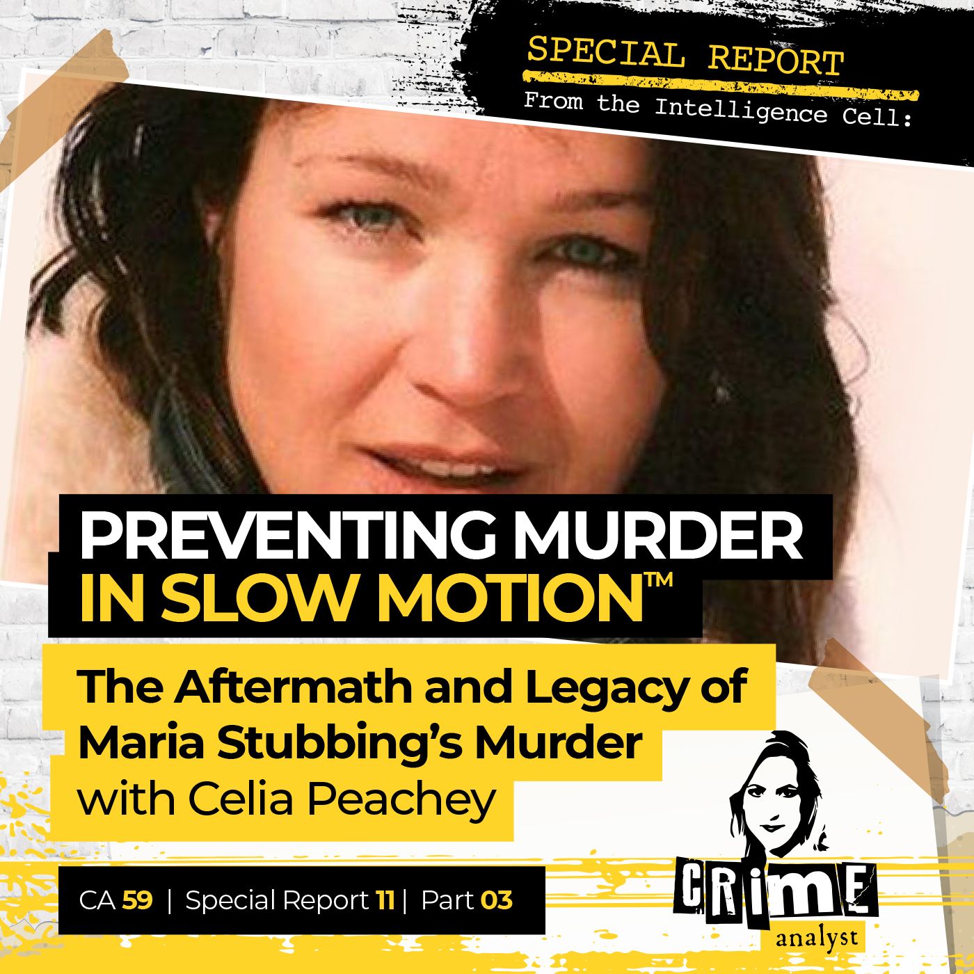 59: Special Report from the Intelligence Cell | Ep 59 | Preventing Murder in Slow Motion™: The Aftermath and Legacy of Maria Stubbing’s Murder with Celia Peachey, Part 3 Image