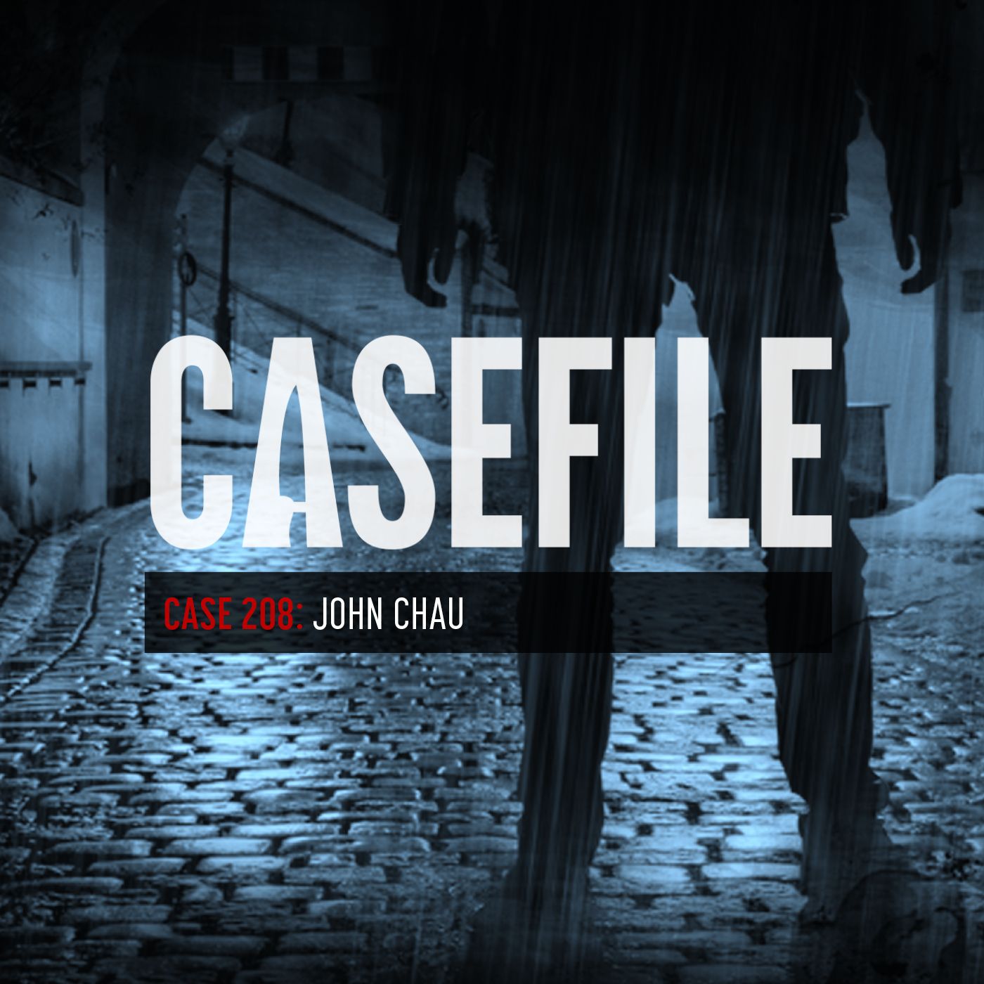 Case 208: John Chau