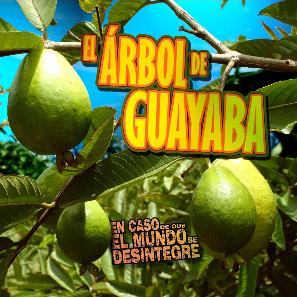S24 Ep5294: El Árbol De Guayaba