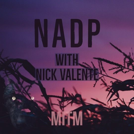 9: NADP with Nick Valente Image