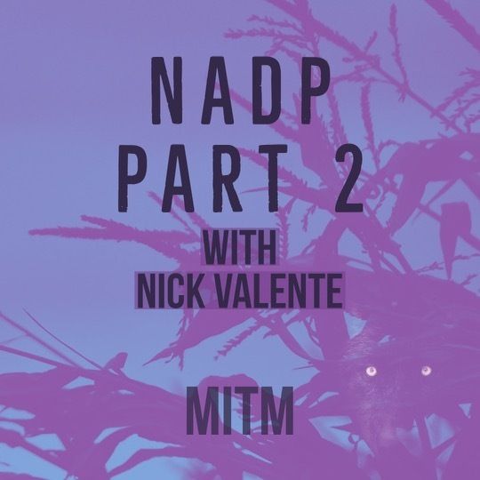 10: NADP Part 2 with Nick Valente Image