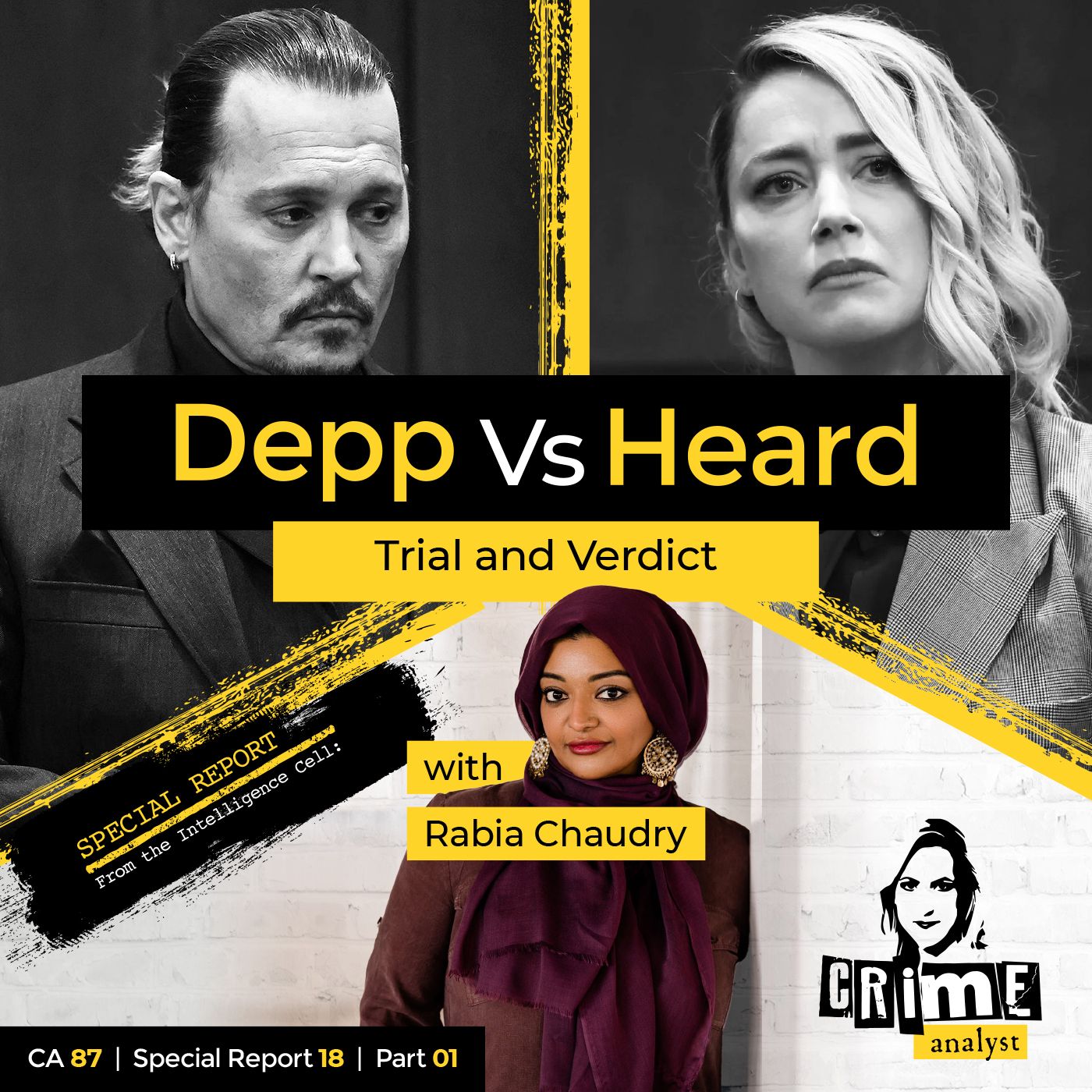 87: The Crime Analyst | Ep 87 | Depp vs Heard Trial and Verdict with Rabia Chaudry, Part 1 Image
