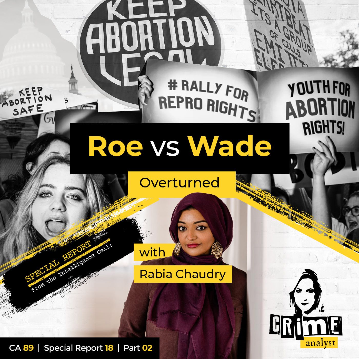 89: The Crime Analyst | Ep 89 | Roe vs Wade Overturned with Rabia Chaudry, Part 2 Image