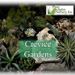 Better Lawns and Gardens Plant Delights Graphic-1