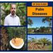 Palm diseases Dr. Braham Dhillon Graphic