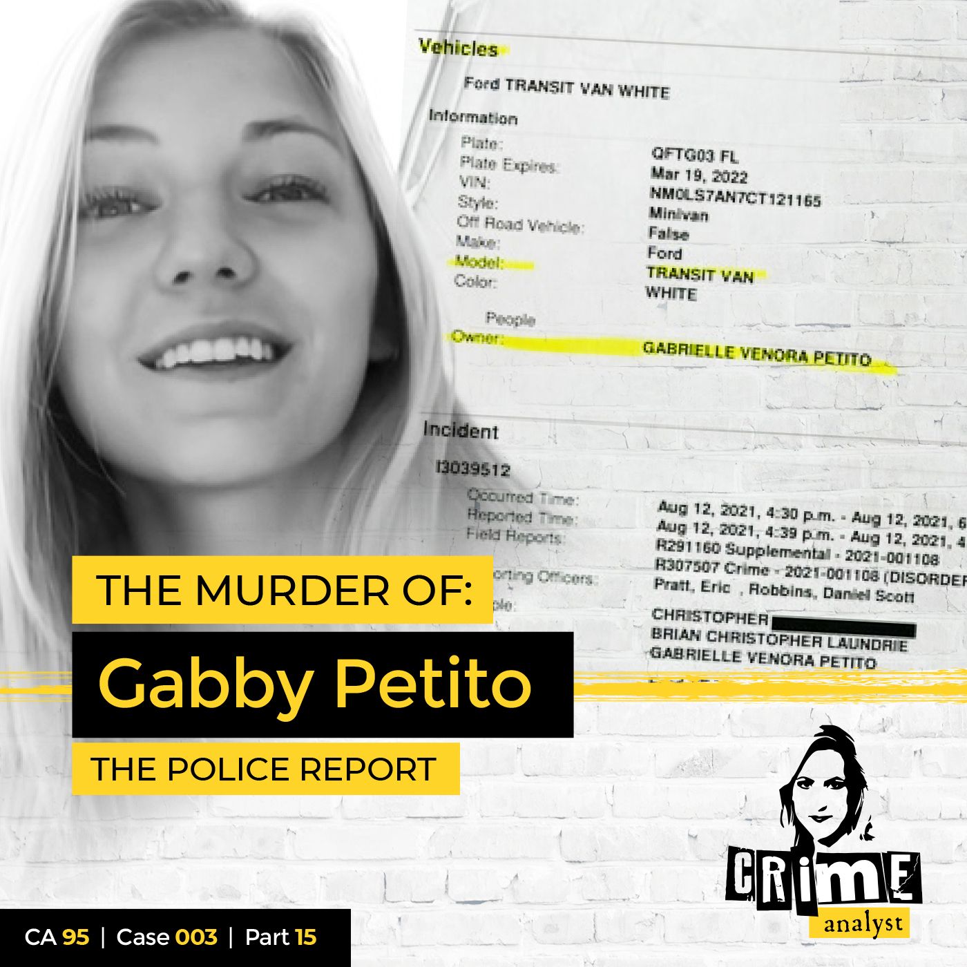 95: The Crime Analyst | Ep 95 | The Murder of Gabby Petito, Part 15 Image