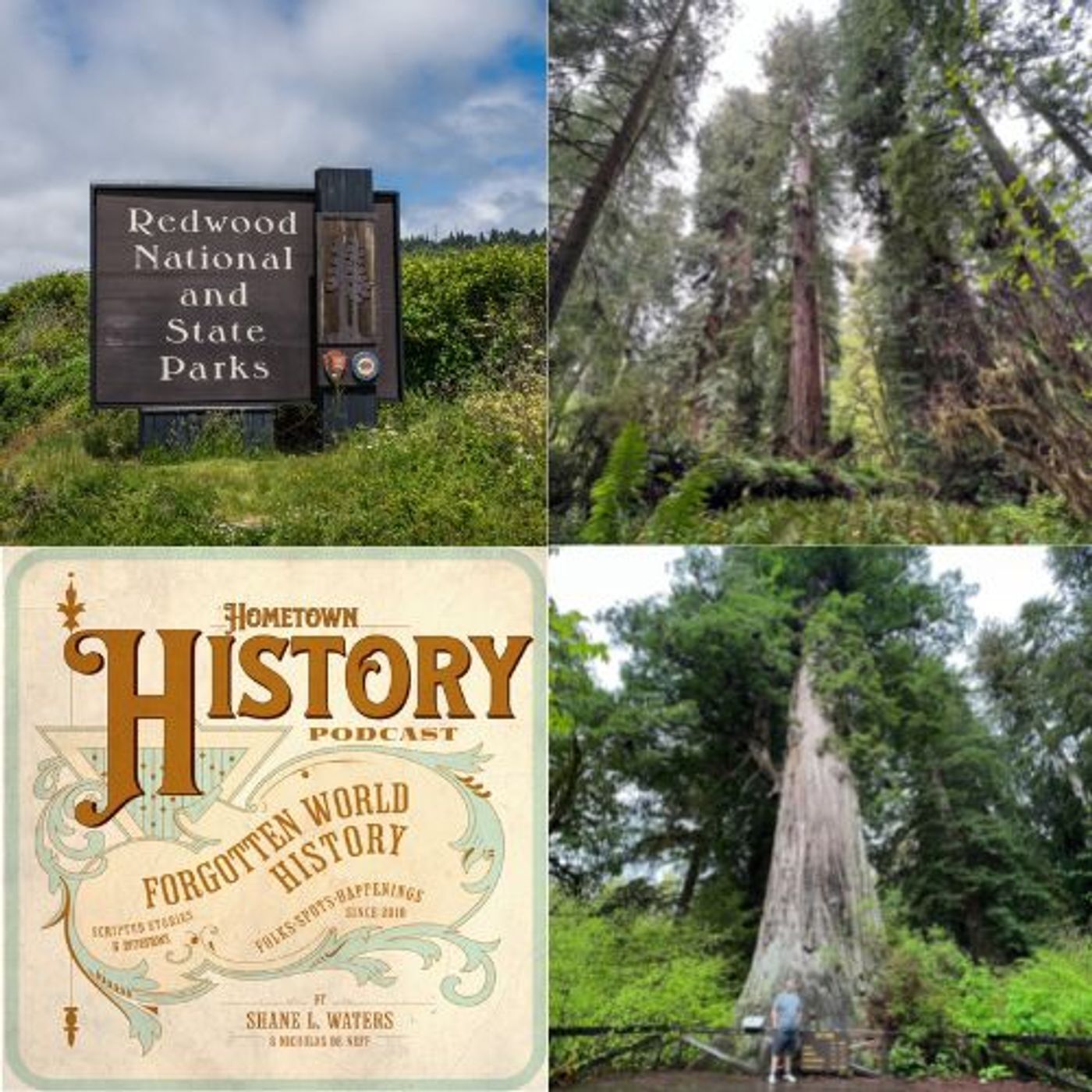 79: Redwoods National Park Image
