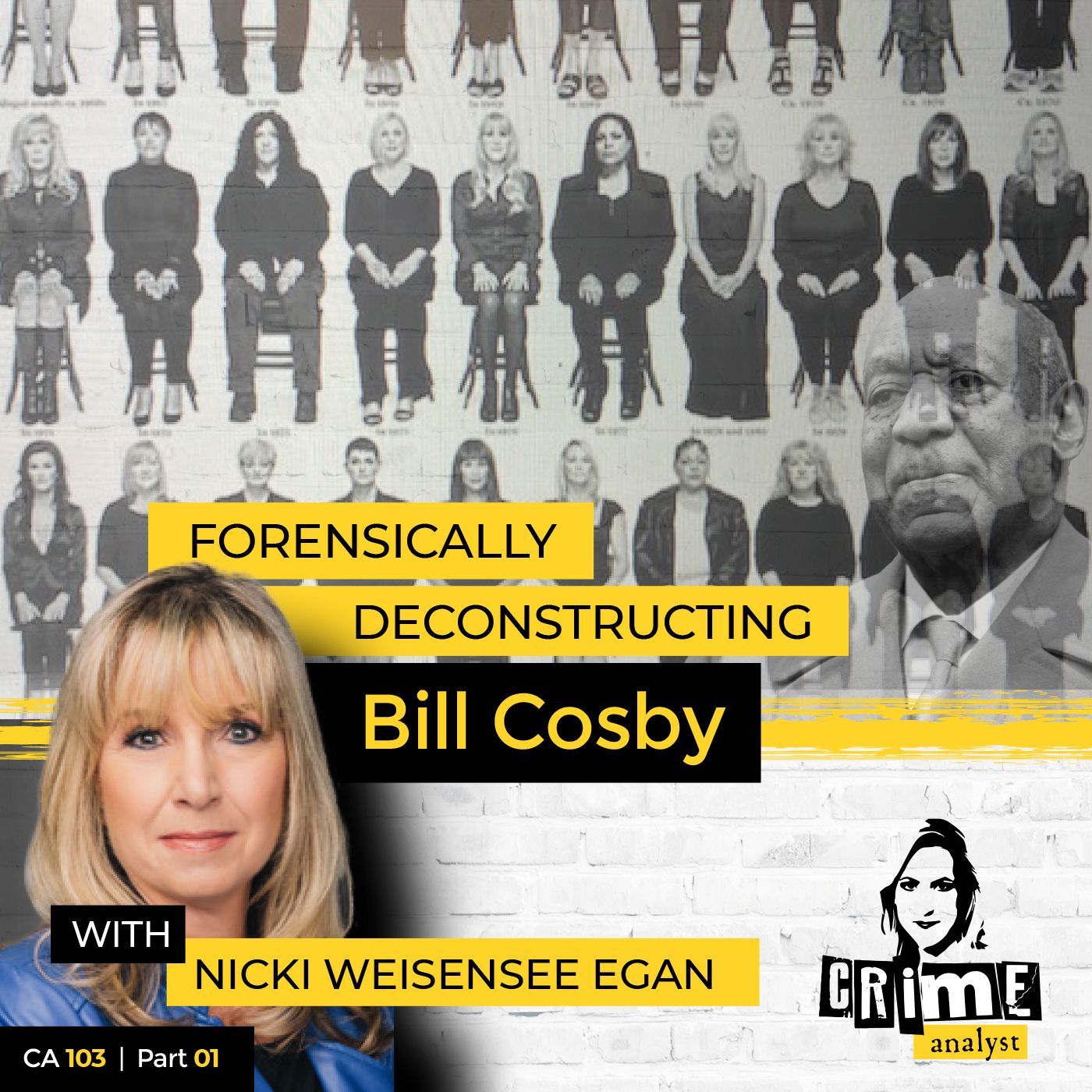 103: The Crime Analyst | Ep 103 | Forensically Deconstructing Bill Cosby with Nicki Weisensee Egan, Part 1 Image